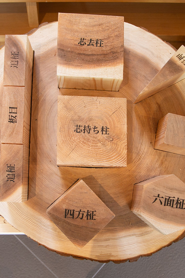 場所によって変わる木の形、質